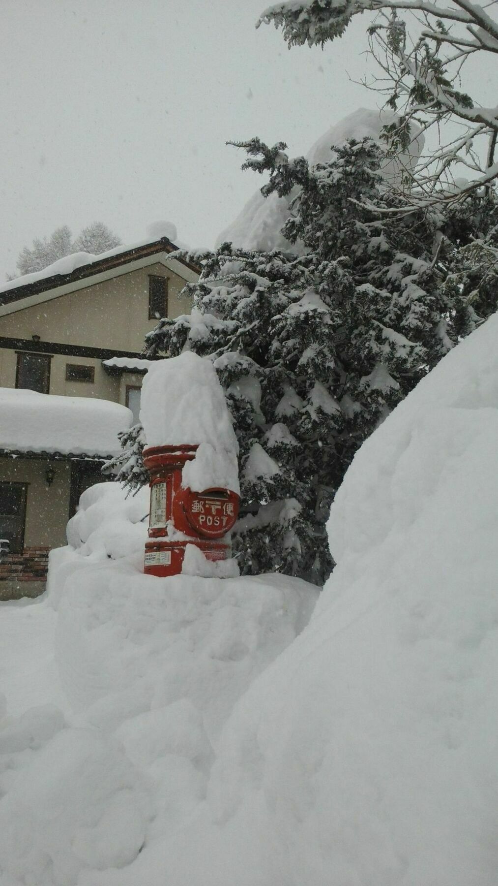 Sakka Sanso Villa ฮาคุบะ ภายนอก รูปภาพ